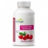 Sotya Beslan Cranberry 650 mg 90 Kapseln