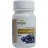 Sotya Beslan Mirtilo ( Bilberry) 100 Comprimidos  【COMPRA ONLINE】