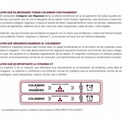 Amlsport Collagene Con Magnesio 270 Compresse