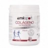 Amlsport Colágeno Con Magnesio Vitamina C B1 B2 B6 350g