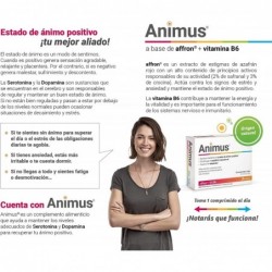 Animus 30 Comprimés