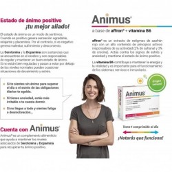 Animus 30 Comprimidos