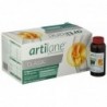 Masterdiet Artilane Classic 15 Vials