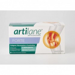 Masterdiet Artilane Forte 15 Vials