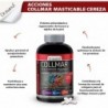 Drasanvi Collmar Kautabletten Kirsche 180 Tabletten