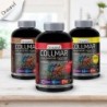 Biscotto masticabile al cioccolato Drasanvi Collmar 180 compresse