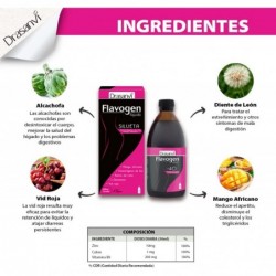 Drasanvi Flavogeno Silhouette 500ml