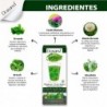 Drasanvi Green Life 500 ml