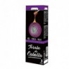 Sirop d'oignon Drasanvi 250 ml