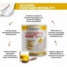 Drasanvi Oseogen Mobility con curcuma 300g