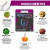 Drasanvi Xplendor Hair 24 Capsules