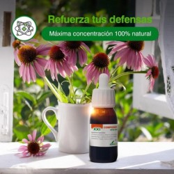 Soria Natural Composor 8 Echina S. XXI50 ml
