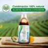 Soria Natural Drainagen 500 ml