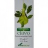Soria Essência Natural de Cravo 15 ml