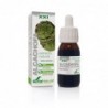 Soria Natural Artischockenextrakt 21. Jahrhundert 50 ml
