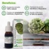 Soria Natural Artischockenextrakt 21. Jahrhundert 50 ml