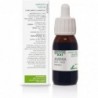 Soria Natural Oat Extract S. XXI 50 ml Soria Natural Oat Extract S. XXI 50 ml