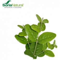 Soria Estratto Naturale Boldo S. XXI 50 ml