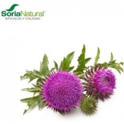 Soria Natural Extrato de Cardo Mariano Século XXI 50 ml