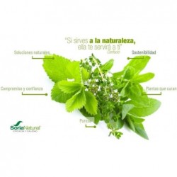 Soria Natural Extrato de Cardo Mariano Século XXI 50 ml