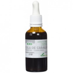Soria Natural Schachtelhalmextrakt 21. Jahrhundert 50 ml