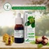 Extrato Natural de Castanha da Índia Soria Século XXI