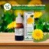 Soria Estratto Naturale Dente di Leone S. XXI 50 ml
