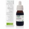 Soria Natural Ginkgo Biloba-Extrakt 21. Jahrhundert 50 ml