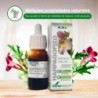 Soria Natural Harpagophito Extract S. XXI 50 ml Soria Natural Harpagophito Extract S. XXI 50 ml