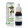 Soria Natural Green Nettle Extract 21st century 50 ml