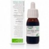 Soria Natural Green Nettle Extract 21st century 50 ml