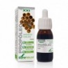 Soria Natural Propolis Extract S. XXI 50 ml