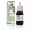 Soria Natural Stone Breaker Extrakt 21. Jahrhundert 50 ml