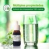 Soria Natural Stone Breaker Extrakt 21. Jahrhundert 50 ml