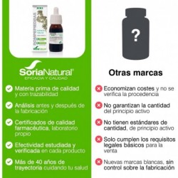 Soria Natural Stone Breaker Extrakt 21. Jahrhundert 50 ml