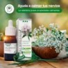 Soria Natural Baldrianextrakt 21. Jahrhundert 50 ml