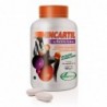 Soria Natural Mincartil Classic 180 Tablets