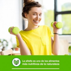 Soria Natural Grüne Alfalfa 630 mg 240 Kapseln