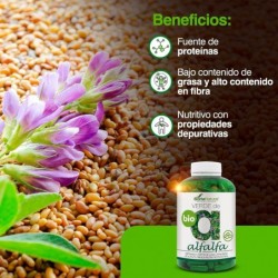 Soria Natural Grüne Alfalfa 630 mg 240 Kapseln