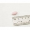 Trepatdiet Erbaven Retard 30 Comprimés