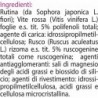Trepatdiet Erbaven Retard 30 Comprimés