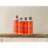 Urtekram Urtekram Après-shampooing en spray pour enfants 250 ml