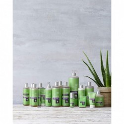 Urtekram Aloe Vera Shampoo Capelli Normali Urt 1L