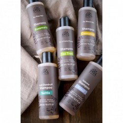 Urtekram Urt Shampoing antibactérien à l'arbre à thé 250 ml