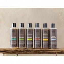 Urtekram Urt Shampoing antibactérien à l'arbre à thé 250 ml
