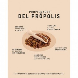 Granero Supplements Bio Propolis 60 Kapseln 500 mg