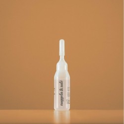 Nuggela & Sule Stärkungs- und Anti-Verlust-Ampulle 10 ml