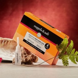 Nuggela & Sule Stärkungs- und Anti-Verlust-Ampulle 10 ml
