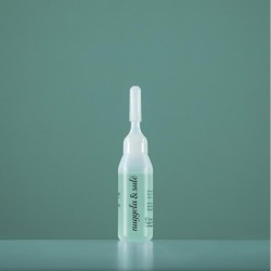 Nuggela & Sule Regenerierende Ampullenkapsel Silar 10ml