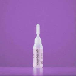 Nuggela & Sule Kératine¹ Ampoules Hyaluroniques 10 ml